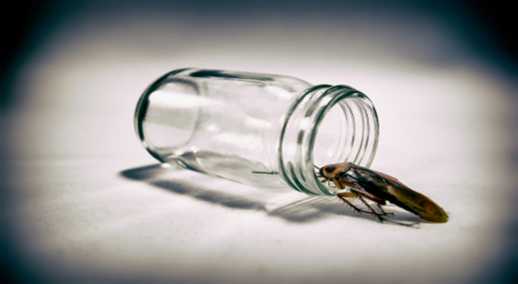 طريقة طبيعية باستخدام القهوة للتخلص من الصراصير